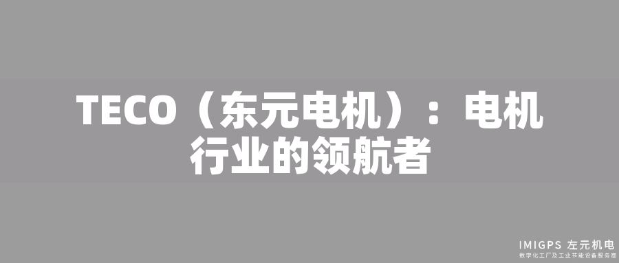 TECO(東元電機):電機行業(yè)的領(lǐng)航者 TECO(東元電機):電機行業(yè)的領(lǐng)航者